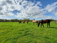 Pension de propri�taires